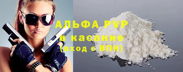 индика Михайлов