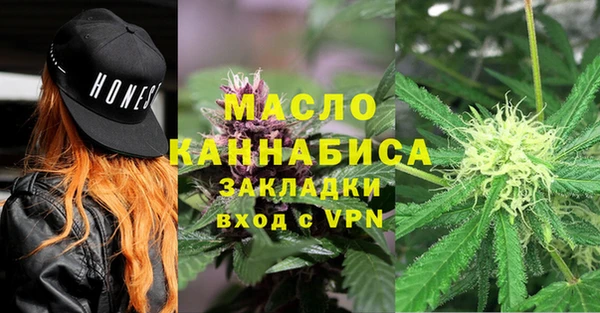 индика Михайлов