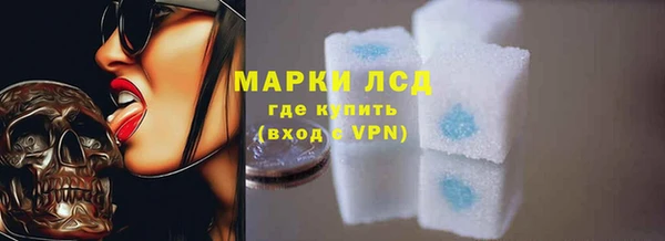 индика Михайлов
