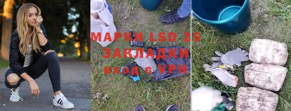 индика Михайлов