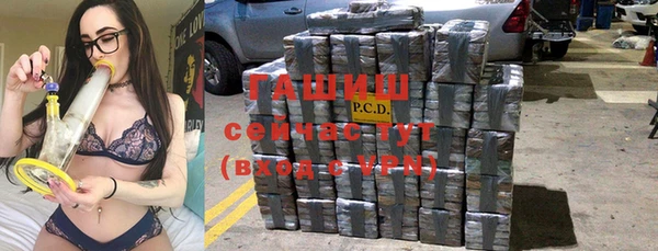 индика Михайлов