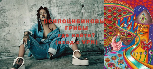 индика Михайлов