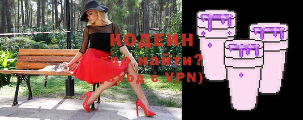 индика Михайлов