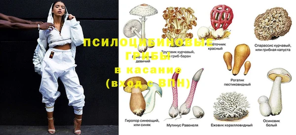 индика Михайлов