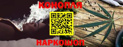 СК Донецк