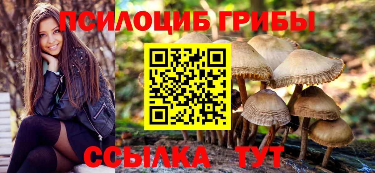 Псилоцибиновые грибы Psilocybe  Псилоцибиновые грибы Psilocybe  Нижний Новгород 