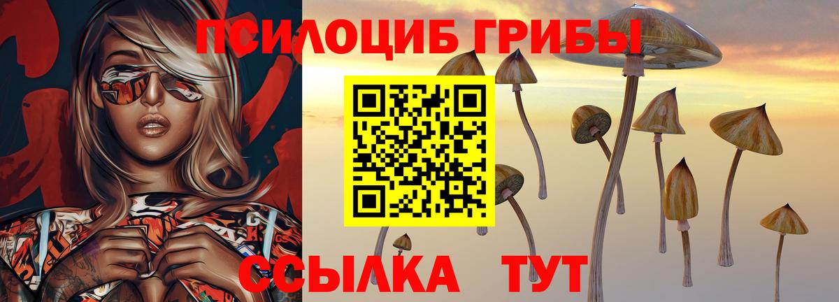 Галлюциногенные грибы мухоморы  Вход с VPN  Нижний Новгород 