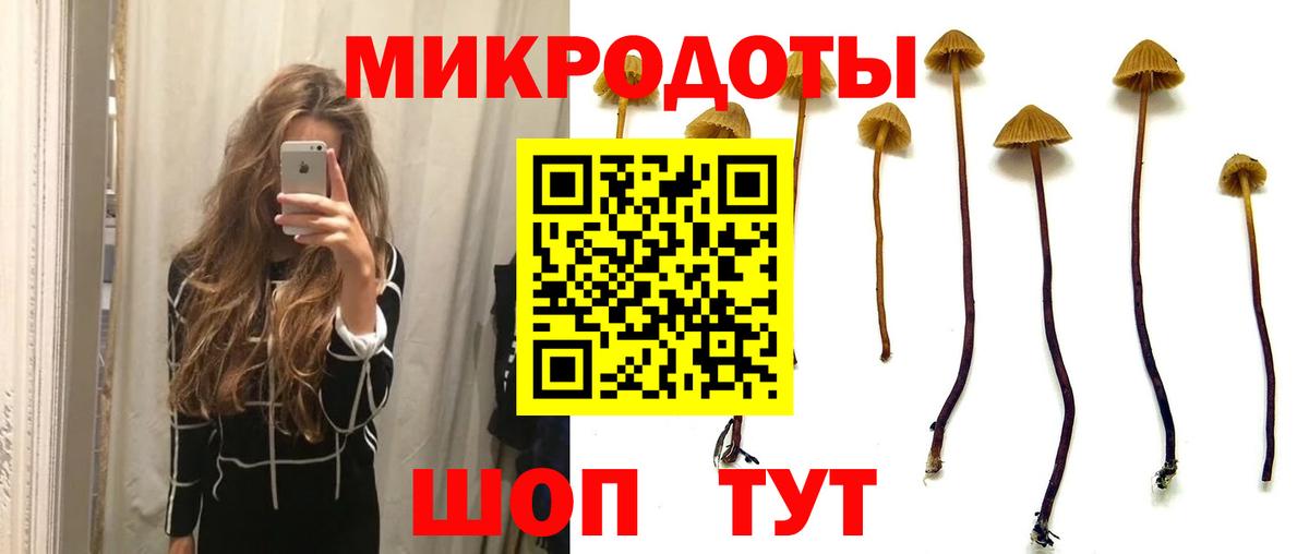 Галлюциногенные грибы MAGIC MUSHROOMS Нижний Новгород