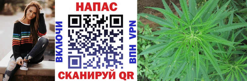 МАРИХУАНА планчик  купить закладку  Нижний Новгород 
